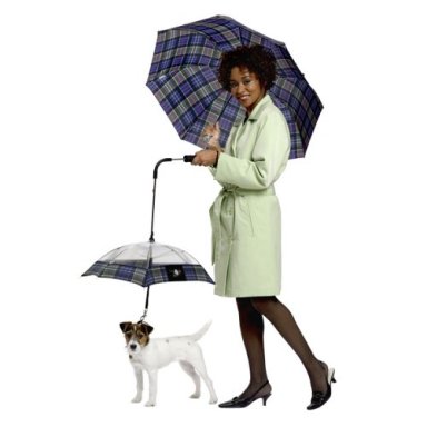 Regalos Originales. Paraguas para perros. Regalos Originales Hogar. Regalos Originales. Paraguas para perros